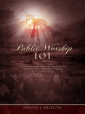 cover image of Public Worship 101